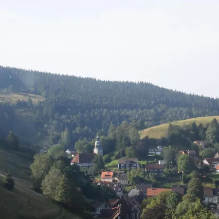 Апартаменты Charmantes Dachgeschoss-refugium, Harz *