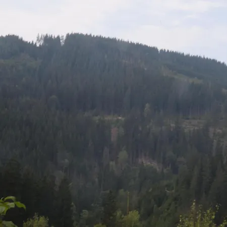 アパート Charmantes Dachgeschoss-refugium, Harz ヴィルデマン