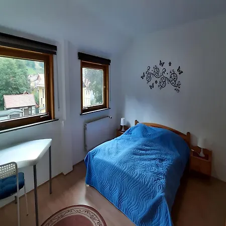 Apartment Cozy In The Harz Wildemann