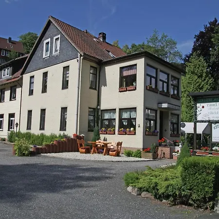 Charmantes Dachgeschoss-refugium, Harz Апартаменты