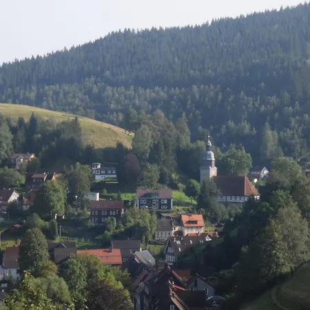 Charmantes Dachgeschoss-refugium, Harz アパート *