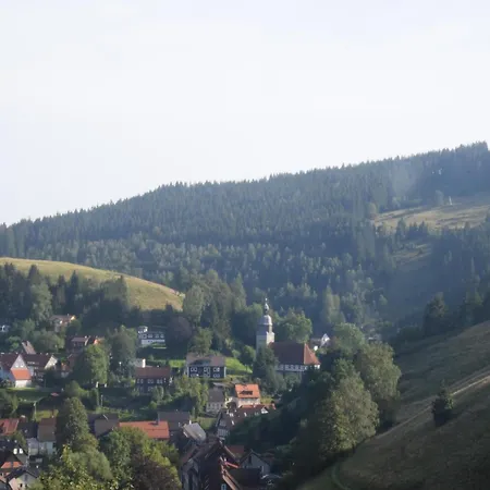 Charmantes Dachgeschoss-refugium, Harz *