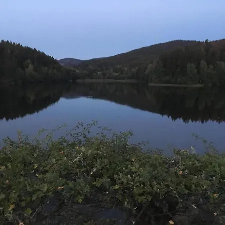 Charmantes Dachgeschoss-refugium, Harz