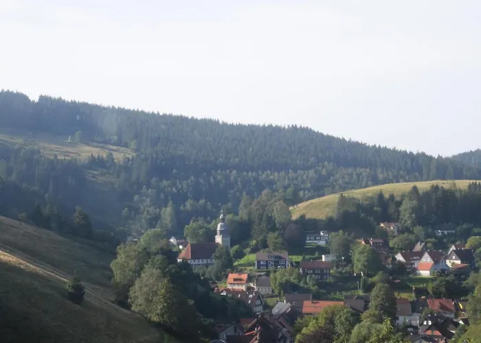 Διαμέρισμα Charmantes Dachgeschoss-refugium, Harz *