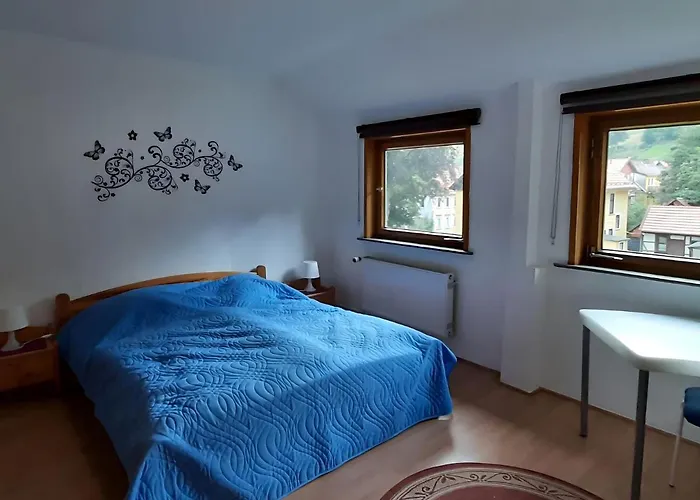 Charmantes Dachgeschoss-refugium, Harz