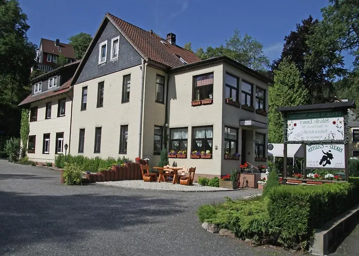 Charmantes Dachgeschoss-refugium, Harz Διαμέρισμα