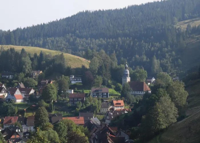 Charmantes Dachgeschoss-refugium, Harz Διαμέρισμα *