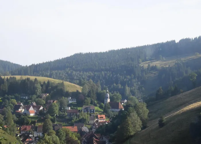 Charmantes Dachgeschoss-refugium, Harz *