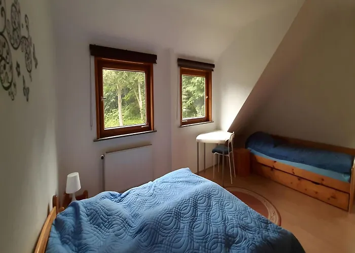 Διαμέρισμα Charmantes Dachgeschoss-refugium, Harz *