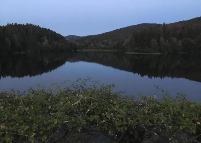 Charmantes Dachgeschoss-refugium, Harz